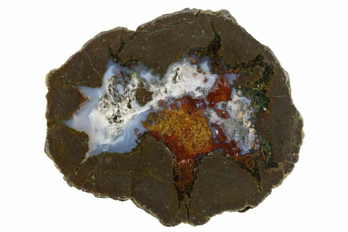 Colorful Polished Thunderegg Half - Nevada #337809